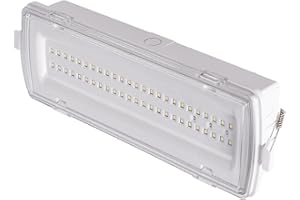 Alpinaluz Luz de Emergencia LED Estanca IP54 4W 530lm – Empotrable con Clips o Superficie – 3h Autonomía - Resistente al Agua y Polvo – Uso Profesional e Industrial, Interior y Exterior Cubierto