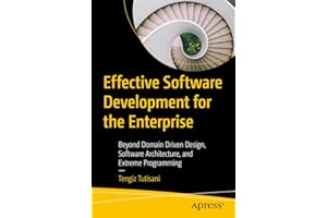 Effective Software Development for the Enterprise: Beyond Domain Driven Design, Software Architecture, and Extreme Programming