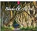Bäume & Alleen 2015 - Original Stürtz-Kalender - Großformat-Kalender 60 x 48 cm by