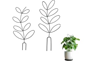 Shirene Lot de 2 tuteurs pour plantes d'intérieur - Tuteurs en métal pour l'extérieur - Support pour plantes grimpantes - Support pour plantes d'intérieur - Support de pot de fleurs pour l'extérieur