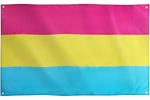 Runesol Pansexual Flag, 91x152cm, 3ft x 5ft, 4 Grommets, Eyelet In Every Corner, Pride Flag, Awareness Day, Omnisexuality Flag, LGBT Flag, Premium Flags, Inside, Outside, Vivid Colours