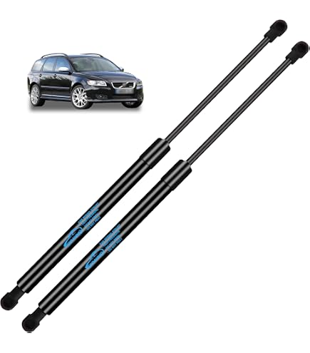 Febi Bilstein 28002 – Molla A Gas Per Portellone (Lato Destro E Sinistro) Per Citroën E Peugeot, 305N, 554mm