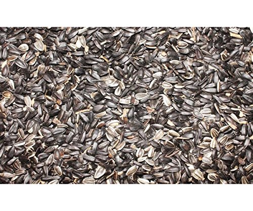 Sonnenblumenkerne 10 kg Anhaltiner Premiumfutter