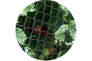 GARDENING NATURALLY Bird Netting to Protect Fruit and Vegetables from Birds Eating Crops - 2m x 5m