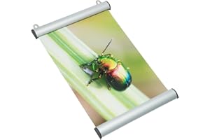 ‎DELIGHT DISPLAYS DELIGHT DISPLAYS® Posterhalter Posterleiste Alu DIN B1 Quer 1000 mm Silberfarben
