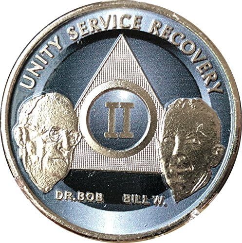 Wendells 2 Year AA Medallion Founders Titanium Nickel Bill W Doctor Bob Chip II