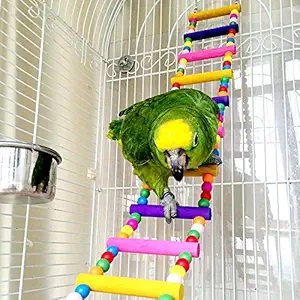 CocoGo Funny Swing Bird Toy Flexible Ladder, Colorful Parrot's Cage Shelf 31. 5 Inch L and 4 Inch W