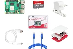 Raspberry Pi 5 1GB RAM Starter Kit with 32GB microSD Noobs Preloaded, LAN-mHDMI Cable, Power Supply