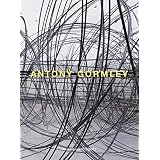 Antony Gormley Horizon Field Eine Landschaftsinstallation Im Alpinen Hochgebirge Vorarlbergs Amazon De Dziewior Yilmaz Gormley Antony Seel Martin Schneider Eckard Wyss Beat Bucher