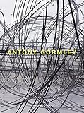 Image de Antony Gormley: Mit Texten von Antonio Damasio, Yilmaz Dziewior und Marcus Steinweg