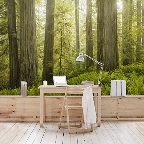Vliestapete Premium – Redwood State Park Waldblick – Fototapete Breit Vlies Tapete Wandtapete Wandbild Foto 3D Fototapete, Größe HxB: 320cm x 480cm - 5