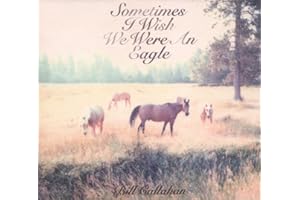 Sometimes I Wish We Were An Eagle , Bill Callahan