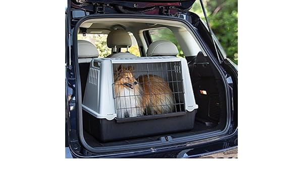 small dog carrier for car