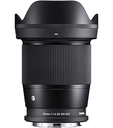 Sigma 30mm f1.4 DC DN Contemporary Lens - L-Mount: Amazon.co.uk