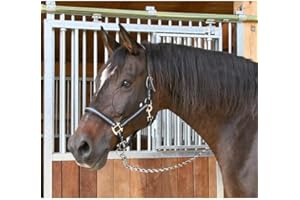 Kerbl Mixte Halfter 2-fach Verstellbar Kerbl Mustang Licol pour Cheval Noir Argent Taille 3, Noir - Noir/Argent, 3 EU