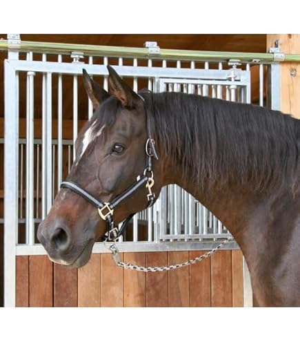 Kerbl Mustang Licol En Polyamide Réglable – Rouge/noir, Taille 2, Muserolle Et Têtière Doublées, Pour Cheval