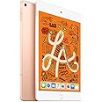 2019 Apple iPad Mini (7.9-inch, Wi-Fi + Cellular, 64GB) Gold (Renewed)