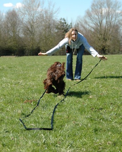 CLIX-Professional-Whistle