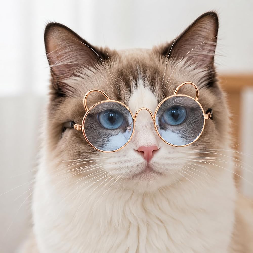 Kulaklı Kedi Güneş Gözlüğü 8 cm (Mavi)