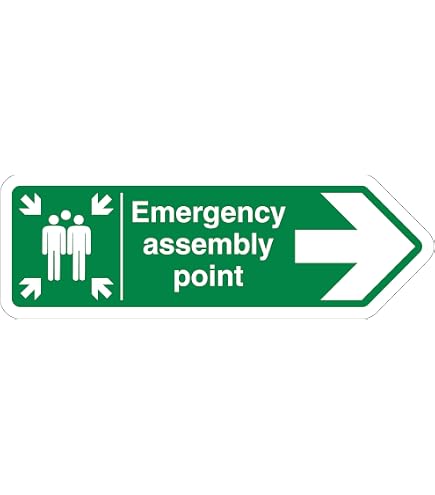 Cartello Vsafety Punto Di Raccolta/Keep Clear - 300x400 Mm, Plastica Rigida, Norme EN ISO 7010, Blu/Verde
