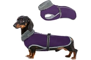 MHAUSTLIE Cappotto Cani Invernale,Impermeabile cappottino caloroso per cane per cani di taglia media e grande,Giacca invernale per cani con fibbia regolabile