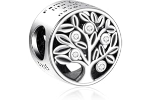 NINGAN Heart beads charms family series pendant for parent grandparents, sisters holiday Day Gift compatible bracelet necklace