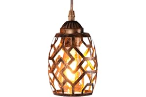 TWSXTE E27 Sospensione vintage plafoniera industriale retrò, lampadario a gabbia in stile illuminazione interna, decorazione corda regolabile