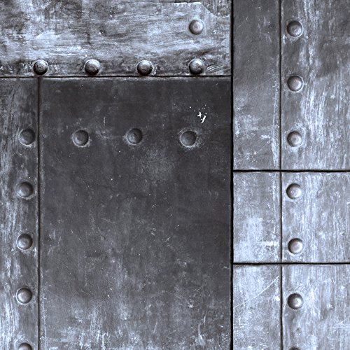 PURO TAPETE | 3 Motive zur Auswahl | Realistische Tapete ohne Rapport und Versatz | Kein sich wiederholendes Muster | 10m VLIES Tapetenrolle | Metal Blech f-A-0271-j-d - 4