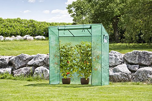 Windhager Tomatengewächshaus, Pflanzhaus mit Schrägdach Stecksystem, grün, 200-170 x 195 x 60 cm, 06812 - 5