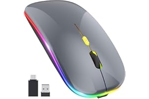PASONOMI Aktualisierung PC Maus Kabellose, LED Wiederaufladbare Leise Funkmaus Laptop Mouse, 2.4 G USB Mäuse mit USB-Empfänger Typ C Kompatibilität mit Computer/PC/Tablet (Gray)