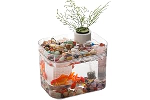 Niwugady Aquarium Transparent avec Couvercle, Pompe à air USB, décoration de Bureau, Petit Aquarium pour Poissons Betta, crevettes, Poissons Rouges, A
