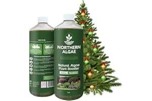 Northern Algae Christmas Tree Feed. Concentrated Plant Food, Sustainably Sourced Microalgae Biostimulant. Extend Freshness & Prevent Needles Dropping. Indoor & Outdoor Use. Natural Christmas Tree Food