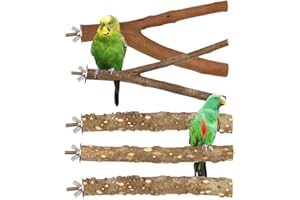 VIBURY Natural Wood Parrot Stand Set, 5 pcs Bird Perch Birdcage Stand Branch, Platform Cage Accessories for Parrotlets Budgies Cockatiels Parakeets Lovebirds