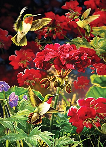 Preisvergleich Produktbild Rubinrote Geranien