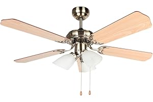 ‎ORBEGOZO Orbegozo CT 23105 Ventilador de Techo Con Luz 55W