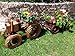 Produktbild Doppelpack: Traktor+Hänger 50 + 60 cm braun,aus Korbgeflecht, Korbmaterial wetterfest**, WITZIGE GARTENDEKO, ideal als Pflanzkasten, Blumenkasten, Pflanzhilfe, Pflanzcontainer, Pflanztröge, Pflanzschale, Rattan, Weidenkorb, Pflanzkorb, Blumentöpfe, Holzschubkarre, Pflanztrog, Pflanzgefäß, Pflanzschale, Blumentopf, Pflanzkasten, Übertopf, Übertöpfe, , Holzhaus Pflanzgefäß, Pflanztöpfe Pflanzkübel
