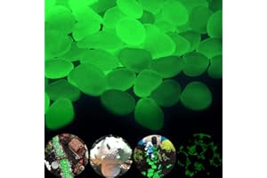 GLOCARNIVAL Glow Pebbles Green, 300 pcs Green Glowing Rocks for Outdoor Decor, Garden Lawn Yard, Aquarium, Walkway, Fish Tank, Pathway, Luminous Pebbles Powered by Light or Solar-Recharge Repeatedly