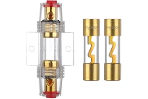 VEXUNGA AGU Sicherungshalter 60A Vergoldet Glassicherung Inline für Auto Audio Power Schutz Mit 2 Stück 60 Ampere AGU Sicherung Glasrohr
