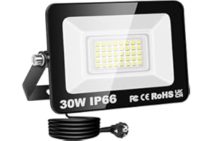 RIGIDON Faretto LED da Esterno con Spina, 1x 30W 3000LM Fari di Sicurezza, Proiettore Led, Faretti lampada Per Giardino Cortile Garage Parete Officina Patio, IP66 Impermeabile 6000K Bianco Freddo