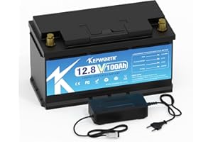 FLLYROWER Batterie Lifepo4 12v 100ah avec cellules Grade A et BMS Parfait Temps de Cycle Bas jusqu'à 10000 pour Moteur trolling RV Camping Solaire supportent la Connexion en série et en parallèle