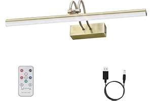 RAIFOOLLY Picture Light,16in Wireless Battery Wall Lighting,Remote Art Lights for Paintings with Timer and Dimmable for Display Photo,Frame,Portrait,Dartboard-AB