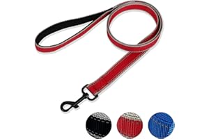 DOKI Reflective Dog Lead, Double-Sided Strong Nylon Dog Leash with Padded Handle, Durable Training Lead for Small, Medium, and Large Dogs, 1.2m × 2.5cm（3.9FT, Red）