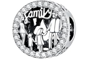 BEEUVIP Charmes Animaux personnages vie pour Bracelets - Charms de Perles ajourées en Argent Sterling 925, charmes de Coeur d'amour pour Bracelets et Colliers pour Femmes Filles