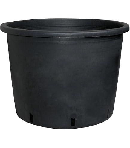 Pflanzen-kölle Vaso Per Piante In Plastica Con Fori Di Drenaggio - 21 Cm, Colore Terracotta