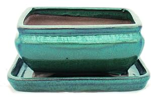 exotenherz Bol à bonsaï avec soucoupe taille 2 - vert - carré - modèle G81 - L 14,5 cm - l 11,3 cm - H 6,6 cm