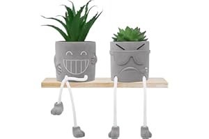 Woltoy 2-Piece Artificial Plants Indoor, Cement Planter, Plastic Succulent Plant, Smiling Face with Cool Face and Hanging Leg Design, Suitable for Office, Living Room, Bedroom, Bathroom