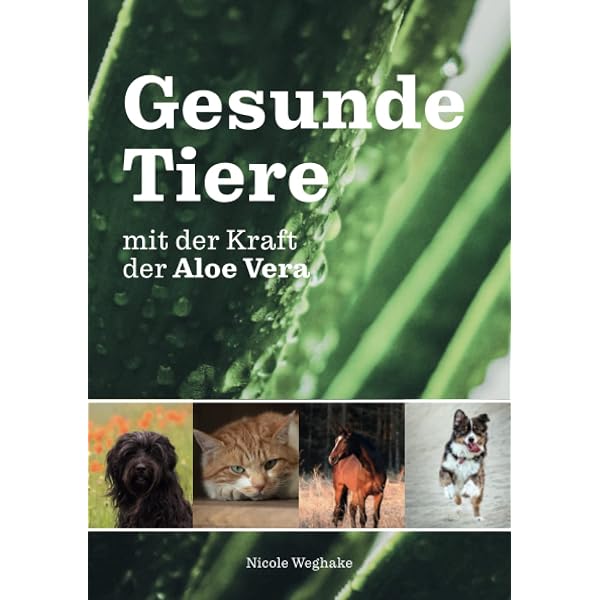 Gesund werden - gesund bleiben: Aloe-Vera-LeitfadenGesund bleiben : Krger,  Carsten, Delb, Jean B, Billigmann, Peter, Wagner, Christian: Amazon.de:  Bcher