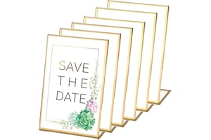 DRWOSM 6 Stück A6 Tischaufsteller Schräg Acryl Werbeaufsteller Werbeaufsteller Acrylaufsteller Speisekarte Thekenaufsteller Thekenaufsteller A6 Bilderrahmen Gold Menükartenhalter für Fotos L Ständer Glasklar