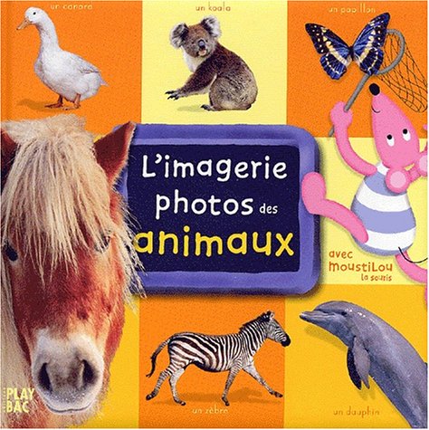 couverture de : L'imagerie photos des animaux