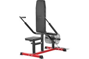 VEVOR Appareil de Musculation pour Dip Assis Capacié de 204 kg, Presse à Triceps et Biceps avec Barre de Câble, Siège et Dossier Réglables, Équipement d’Entraînement Pertoral, pour le Haut du Corps